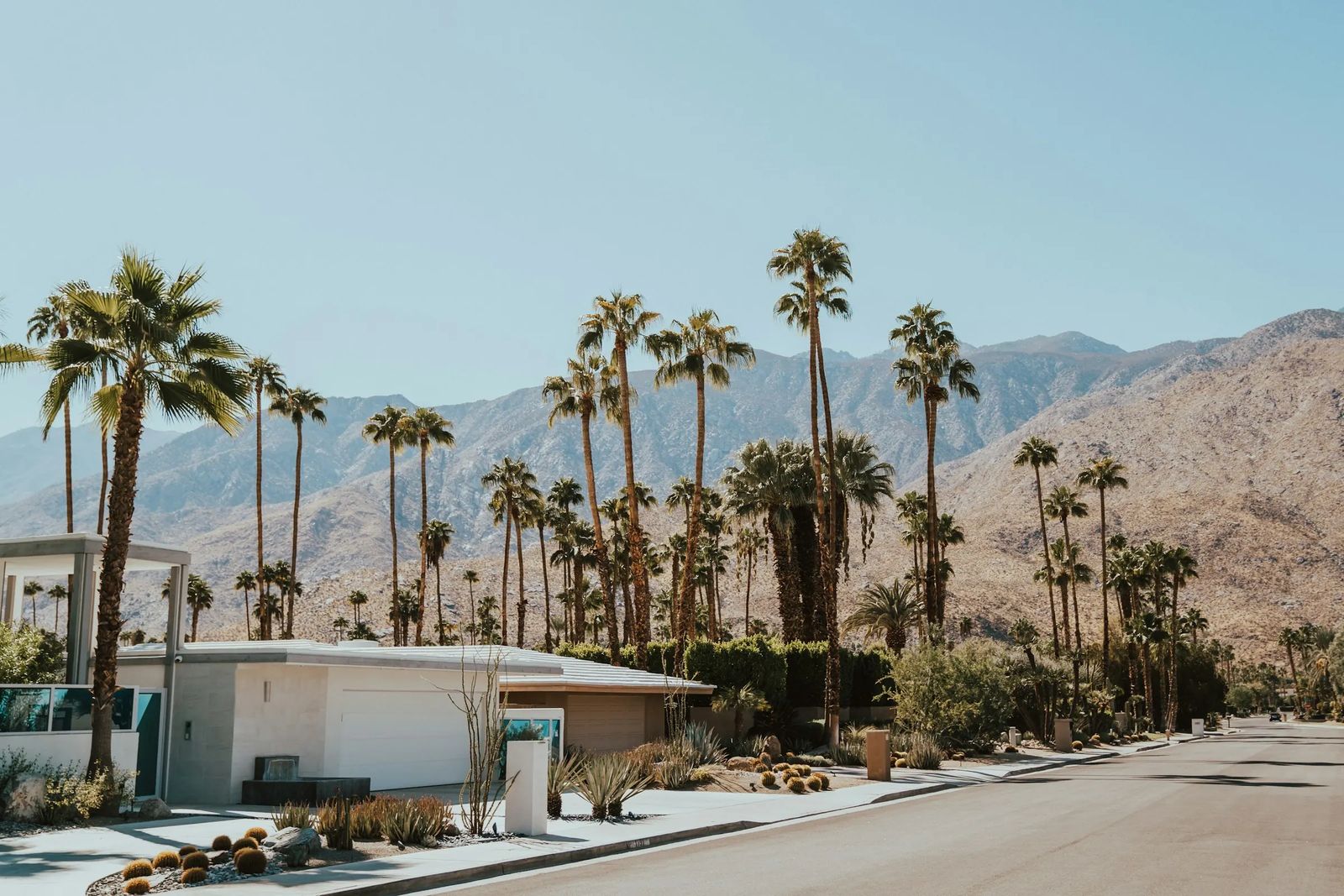 Palm trees and desert mountains above a quiet street in the Coachella Valley